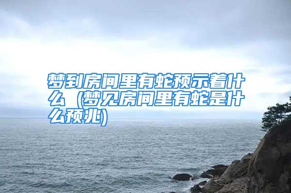 梦到房间里有蛇预示着什么 (梦见房间里有蛇是什么预兆)