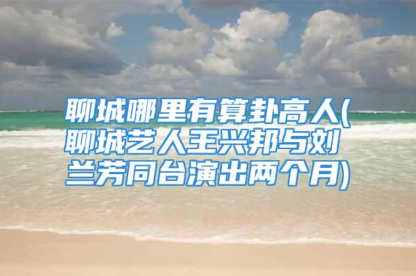 聊城哪里有算卦高人(聊城艺人王兴邦与刘兰芳同台演出两个月)