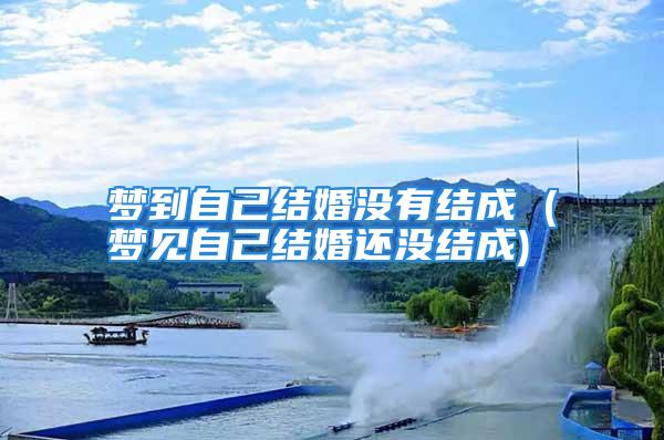 梦到自己结婚没有结成 (梦见自己结婚还没结成)