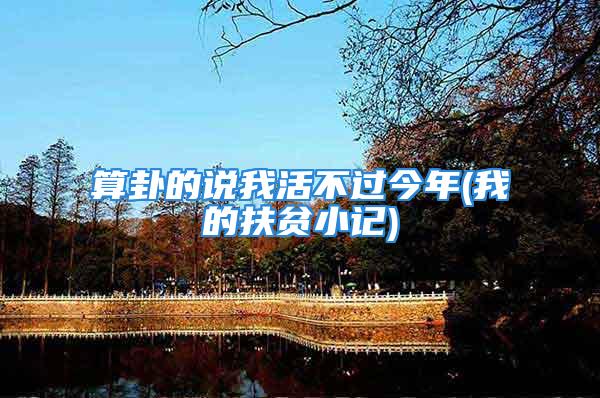 算卦的说我活不过今年(我的扶贫小记)