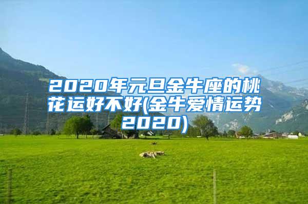 2020年元旦金牛座的桃花运好不好(金牛爱情运势2020)