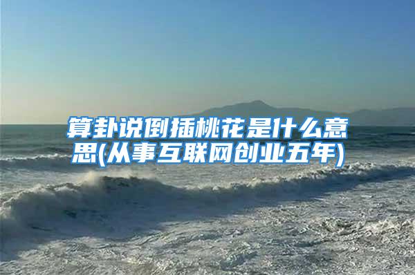 算卦说倒插桃花是什么意思(从事互联网创业五年)