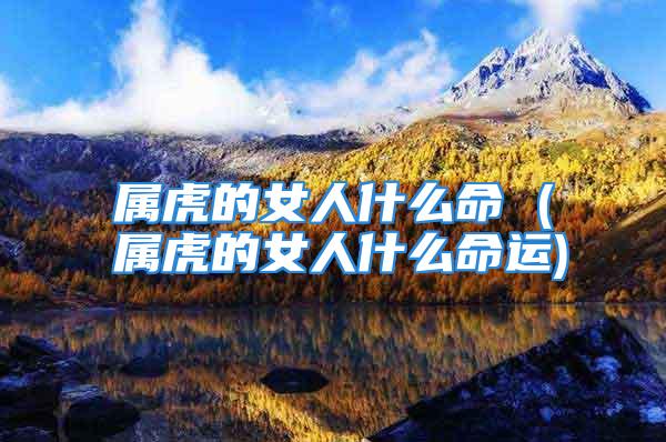 属虎的女人什么命 (属虎的女人什么命运)
