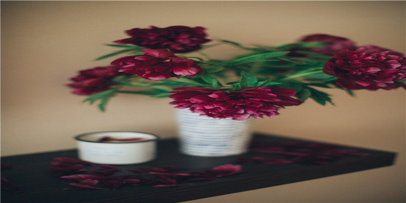 为什么会有艾灸命门绝子一说 (艾灸可以灸命门吗)