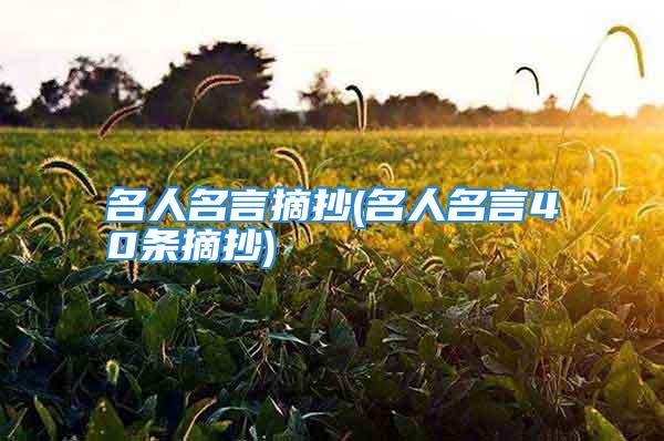 名人名言摘抄(名人名言40条摘抄)