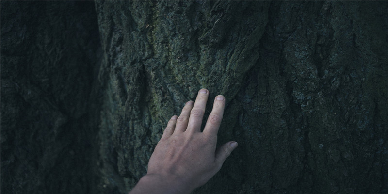 真太阳时和平太阳时有什么差别(生辰八字和真太阳时是什么意思)