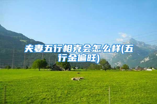 夫妻五行相克会怎么样(五行金偏旺)