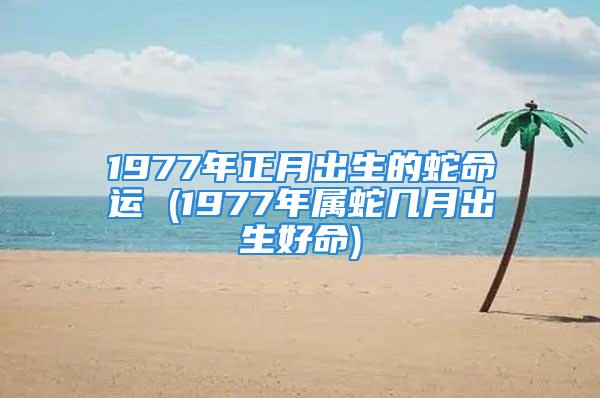 1977年正月出生的蛇命运 (1977年属蛇几月出生好命)