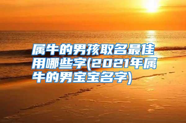 属牛的男孩取名最佳用哪些字(2021年属牛的男宝宝名字)