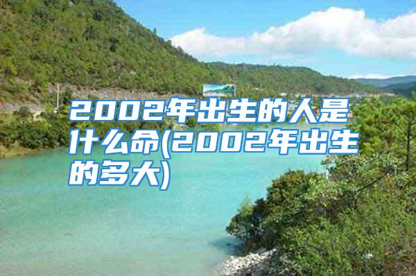 2002年出生的人是什么命(2002年出生的多大)