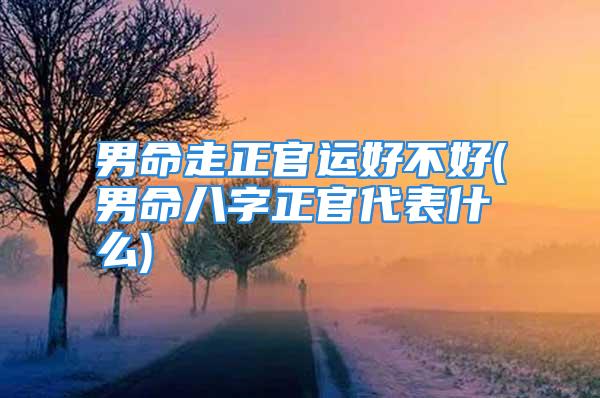 男命走正官运好不好(男命八字正官代表什么)