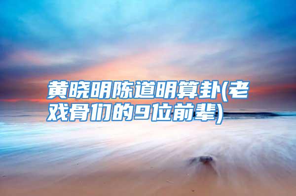 黄晓明陈道明算卦(老戏骨们的9位前辈)