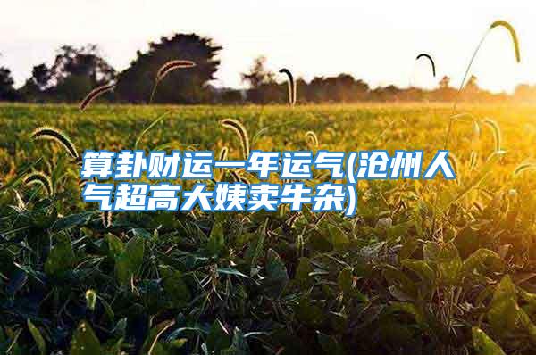算卦财运一年运气(沧州人气超高大姨卖牛杂)