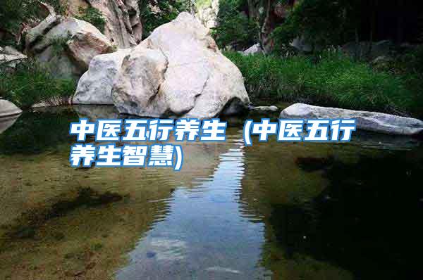 中医五行养生 (中医五行养生智慧)