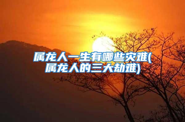 属龙人一生有哪些灾难(属龙人的三大劫难)