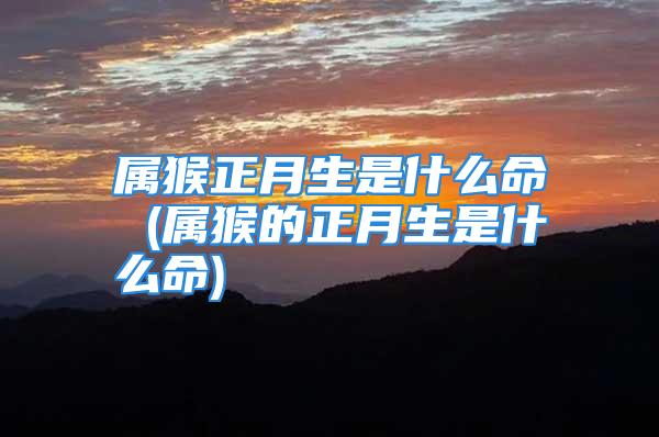 属猴正月生是什么命 (属猴的正月生是什么命)