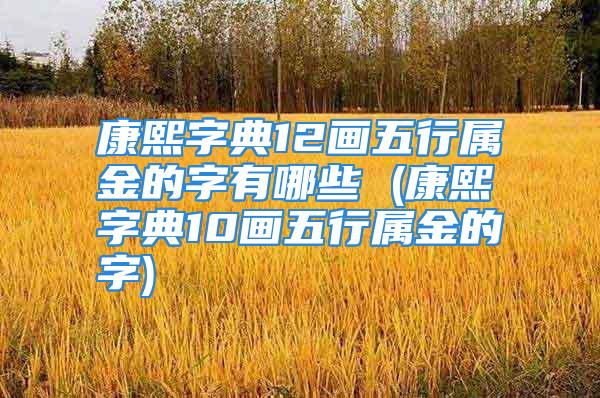 康熙字典12画五行属金的字有哪些 (康熙字典10画五行属金的字)