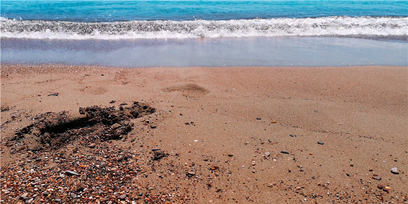 八字身弱财旺怎么办(八字身弱偏财旺)