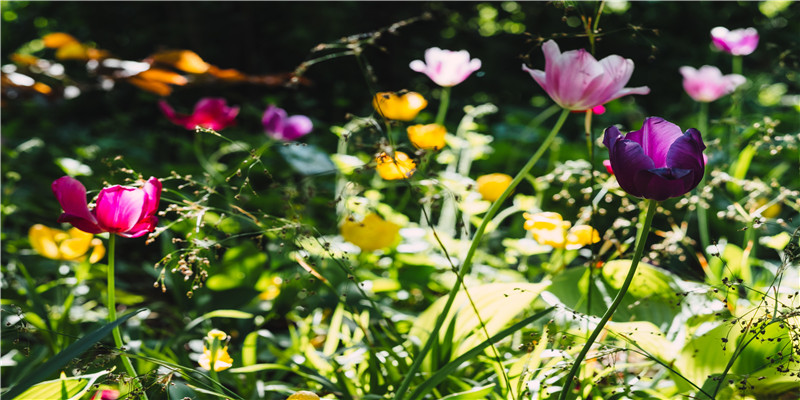 已婚女人梦见别人送自己衣服 (已婚女人梦见别人送自己衣服还有钱)