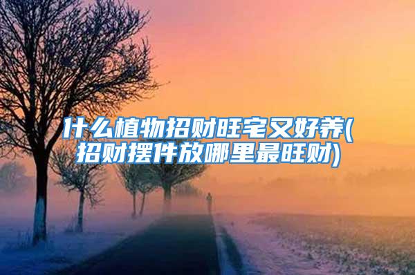 什么植物招财旺宅又好养(招财摆件放哪里最旺财)