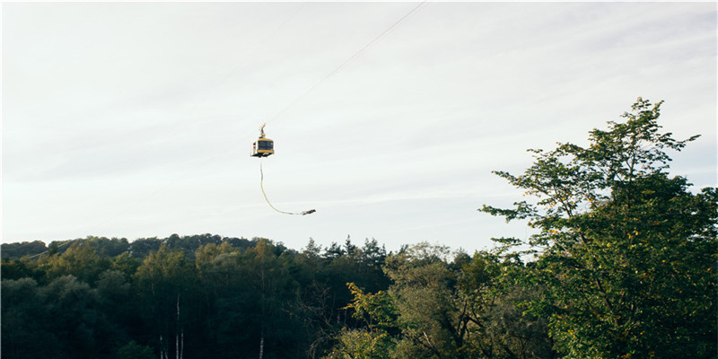 属虎的女人什么命 (属虎的女人什么命运)