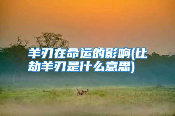 羊刃在命运的影响(比劫羊刃是什么意思)