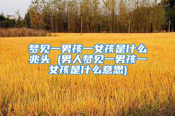 梦见一男孩一女孩是什么兆头 (男人梦见一男孩一女孩是什么意思)