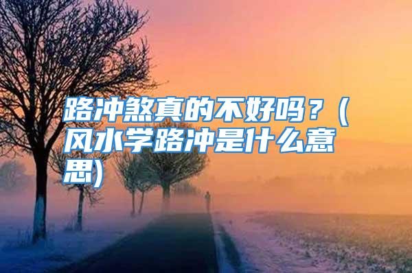 路冲煞真的不好吗？(风水学路冲是什么意思)