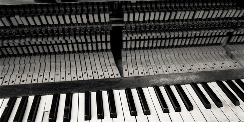 中医五行养生 (中医五行养生智慧)