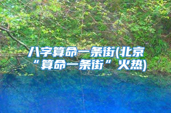 八字算命一条街(北京“算命一条街”火热)