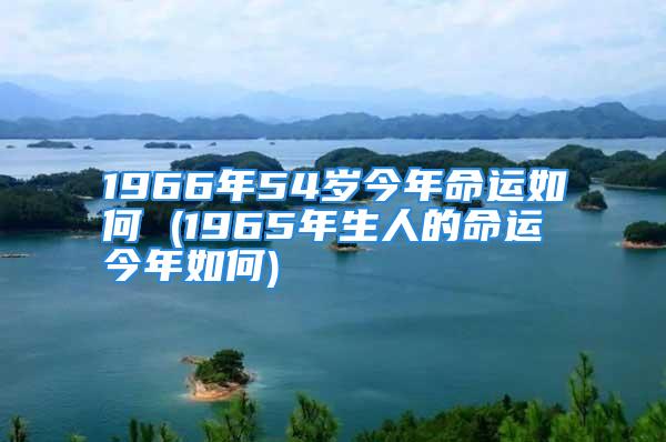 1966年54岁今年命运如何 (1965年生人的命运今年如何)