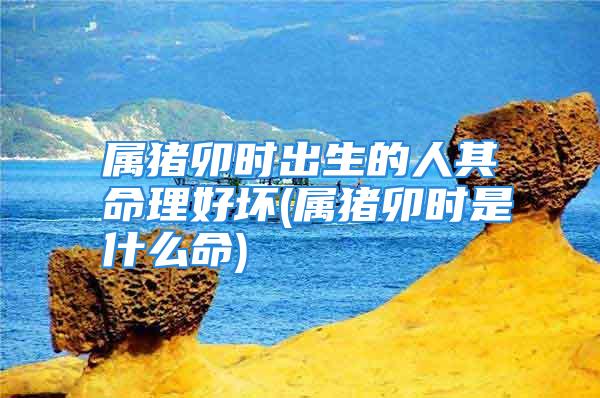 属猪卯时出生的人其命理好坏(属猪卯时是什么命)