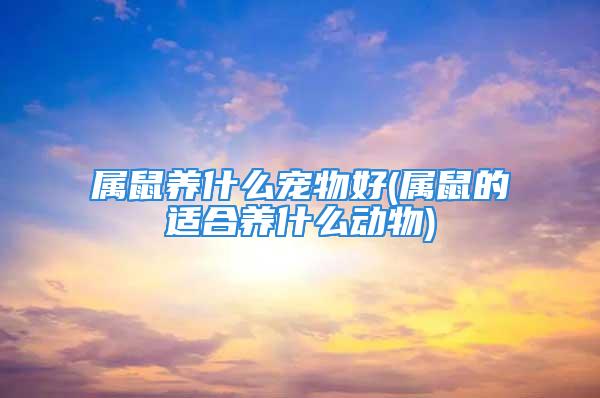 属鼠养什么宠物好(属鼠的适合养什么动物)