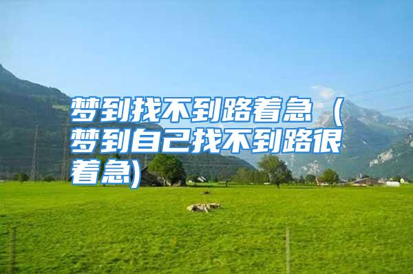 梦到找不到路着急 (梦到自己找不到路很着急)