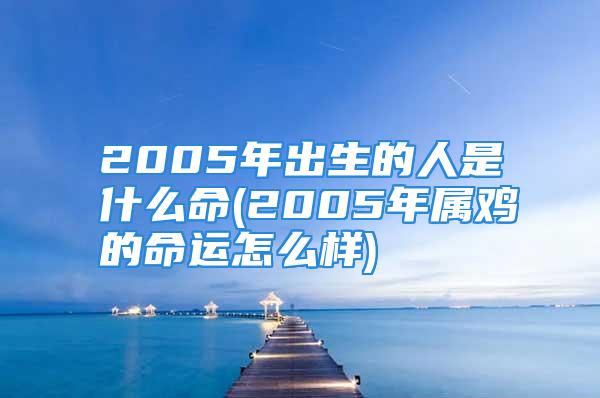 2005年出生的人是什么命(2005年属鸡的命运怎么样)