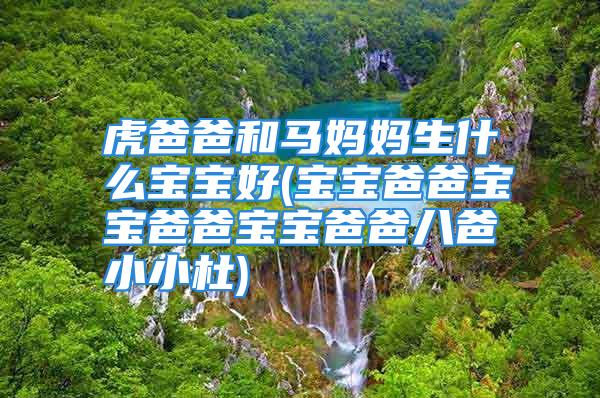 虎爸爸和马妈妈生什么宝宝好(宝宝爸爸宝宝爸爸宝宝爸爸八爸小小杜)
