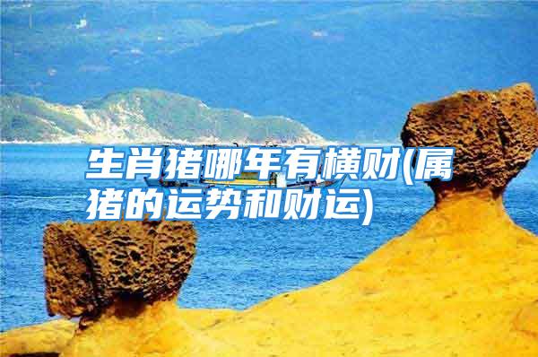 生肖猪哪年有横财(属猪的运势和财运)