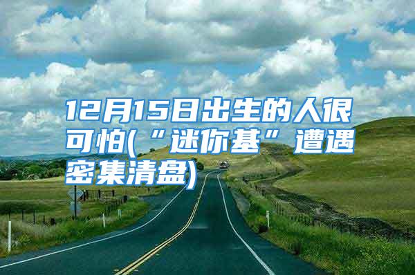 12月15日出生的人很可怕(“迷你基”遭遇密集清盘)