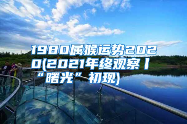 1980属猴运势2020(2021年终观察丨“曙光”初现)