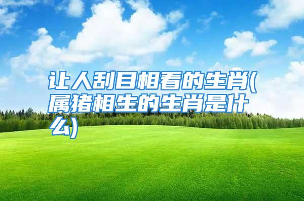让人刮目相看的生肖(属猪相生的生肖是什么)