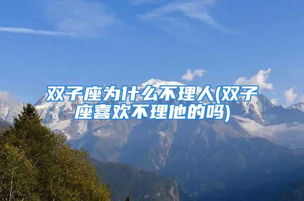 双子座为什么不理人(双子座喜欢不理他的吗)