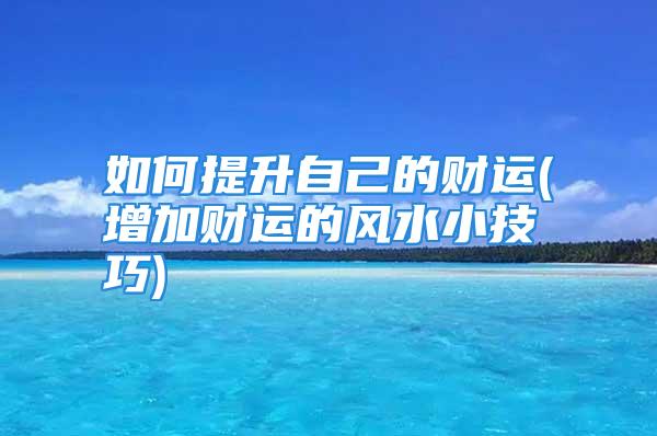 如何提升自己的财运(增加财运的风水小技巧)