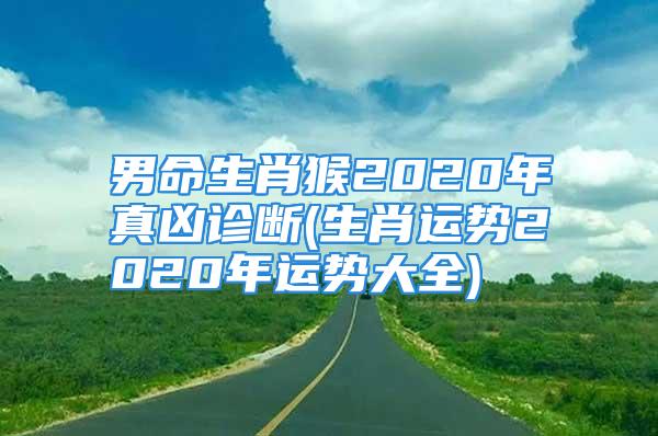 男命生肖猴2020年真凶诊断(生肖运势2020年运势大全)