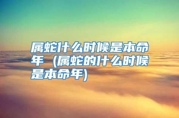 属蛇什么时候是本命年 (属蛇的什么时候是本命年)