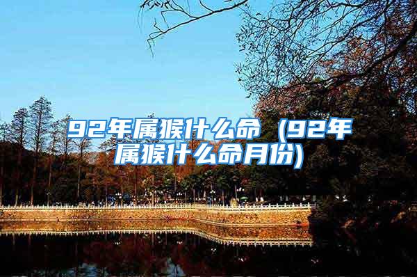 92年属猴什么命 (92年属猴什么命月份)