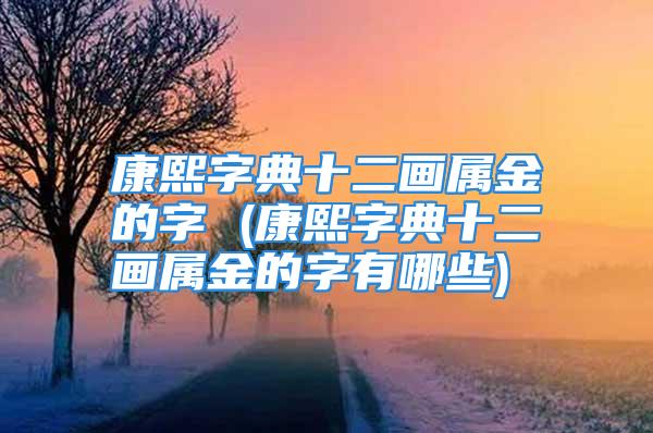 康熙字典十二画属金的字 (康熙字典十二画属金的字有哪些)