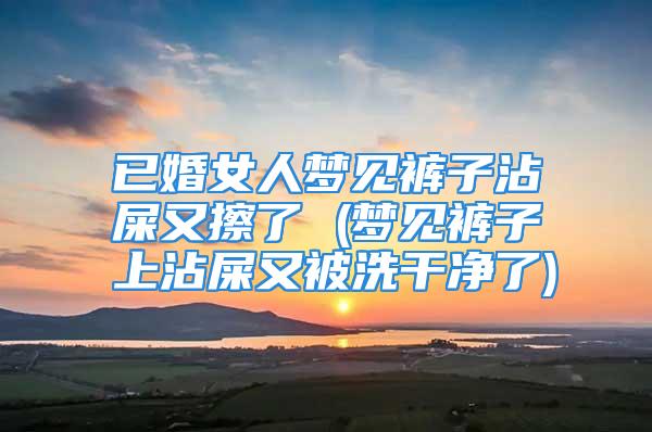 已婚女人梦见裤子沾屎又擦了 (梦见裤子上沾屎又被洗干净了)