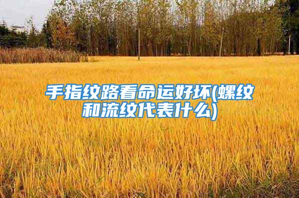 手指纹路看命运好坏(螺纹和流纹代表什么)