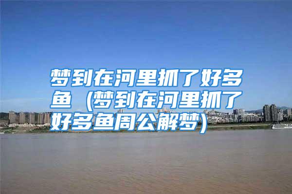 梦到在河里抓了好多鱼 (梦到在河里抓了好多鱼周公解梦)