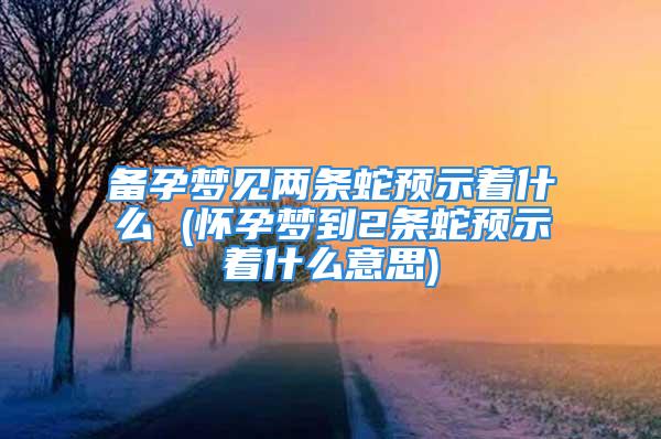 备孕梦见两条蛇预示着什么 (怀孕梦到2条蛇预示着什么意思)